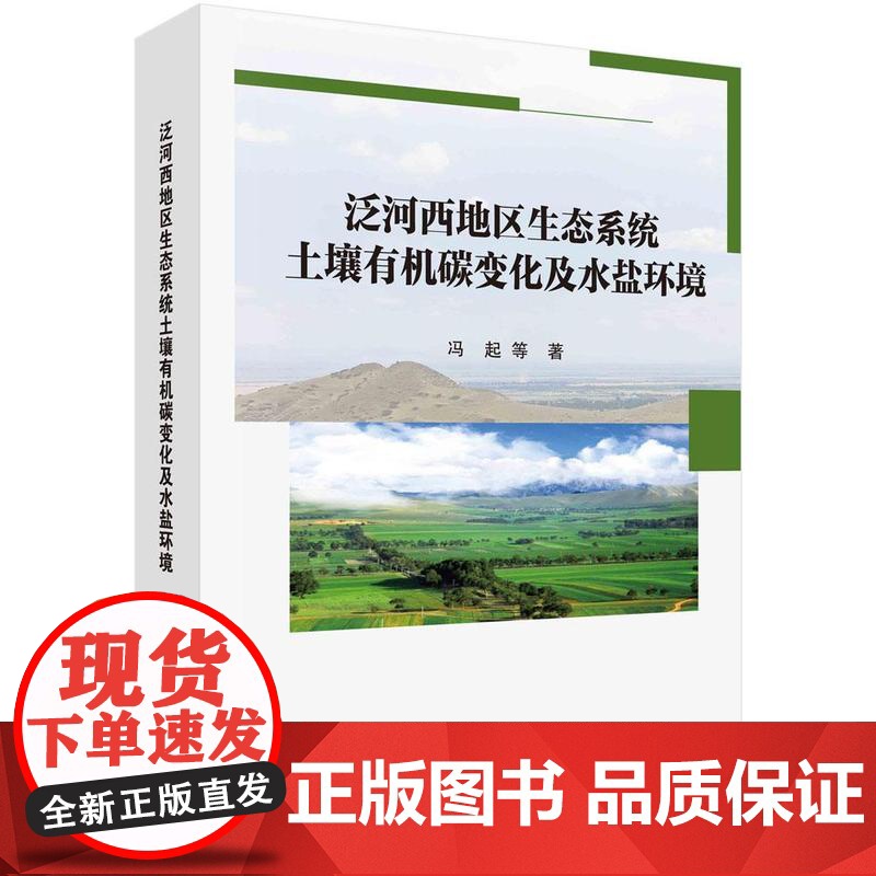 [按需印刷] 泛河西地区生态系统土壤有机碳变化及水盐环境高清大图