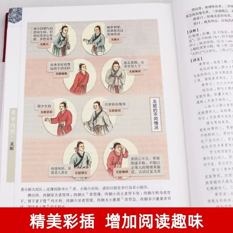 [正版]全彩图解黄帝内经全集原文原版白话文黄本皇帝内经无删减全注全译彩图中医基础理论十二经脉揭秘养生徐文兵高清大图