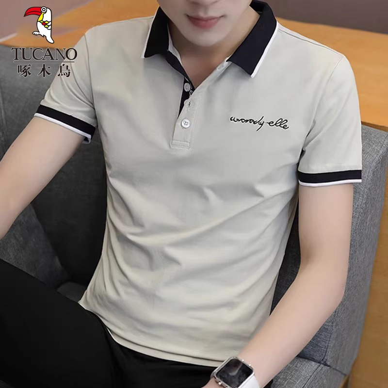 啄木鸟夏季短袖t恤男士宽松翻领上衣2025新薄款潮流休闲polo衫男T