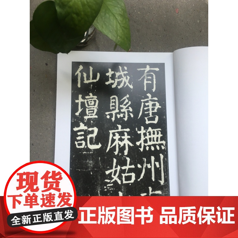 中国碑帖经典 颜真卿麻姑仙坛记 平装 楷书软笔毛笔书法练字帖 上海书画出版社高清大图