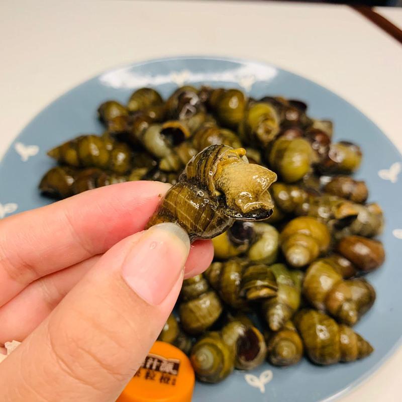 赛卡伊田螺鲜活批发螺丝肉泥螺螺蛳肉香辣麻辣自制包活批发微山