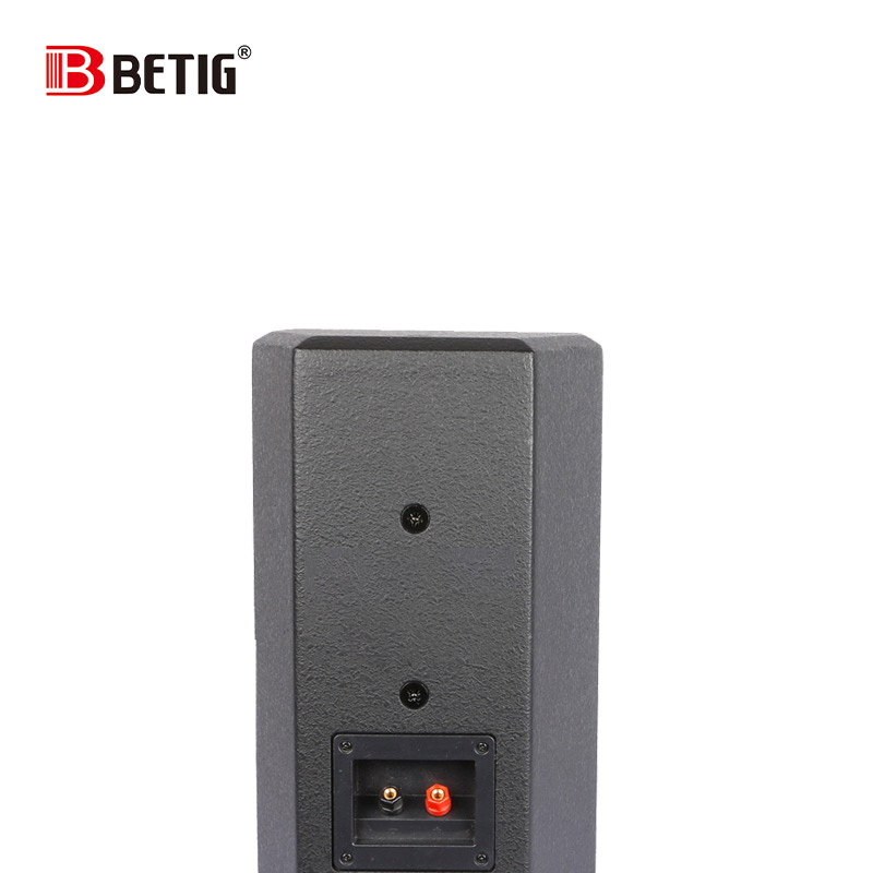 专业音箱BD-1052高清大图