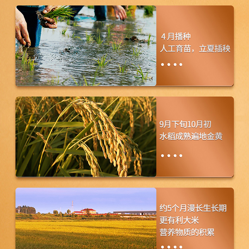哈铁亿农 长粒香大米 10kg/袋高清大图