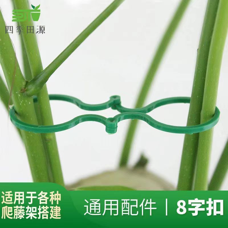 园艺8字扣黄瓜西红柿固定夹植物豆角爬藤藤蔓固定神器蔬菜自动扣-农林果蔬八字扣;小号1包高清大图