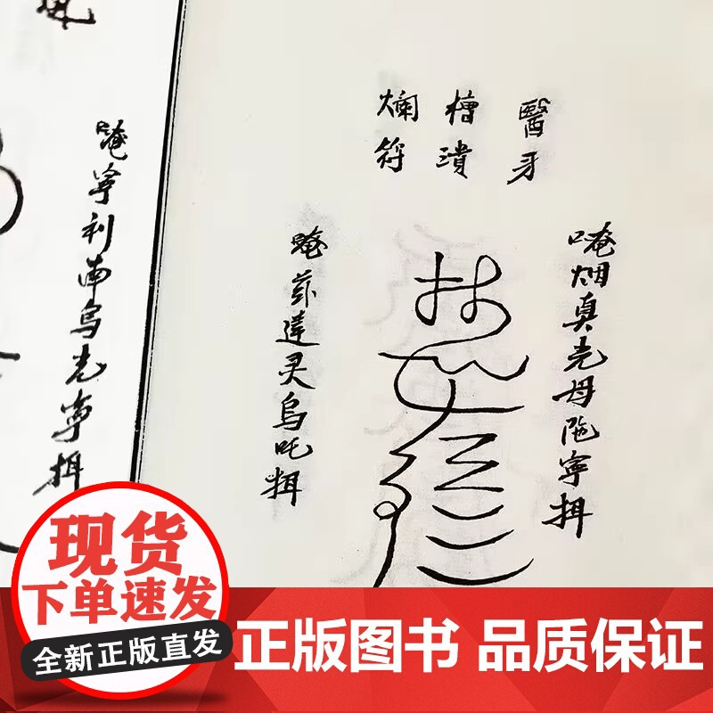 正版 天医祝由科秘抄 宣纸线装全1函2册 子部珍本备要第073种 谢路军主编 九州出版社高清大图