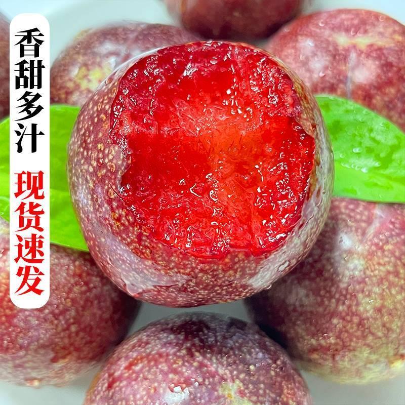 顺丰快递[熊猫鸟]智利进口凤凰李 3斤 珠宝李子当季新鲜红布林整箱血丝李水果樱桃李孕妇高清大图