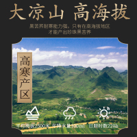 [买1发3同款共750g]北京同仁堂黑苦荞茶250g/罐共全胚芽大颗粒 精选花草茶叶泡水代用茶保健茶饮