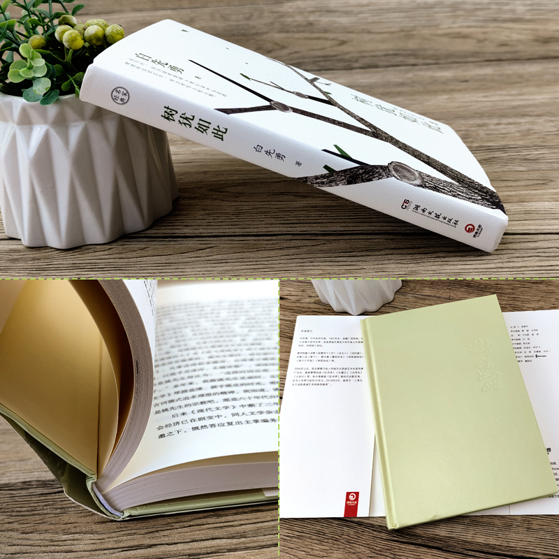 [正版]树犹如此 白先勇精装珍藏版 散文随笔现代文学 寂寞的十七岁 孽子昔我往矣 白先勇忆与王国祥 文集文学小说湖南文高清大图