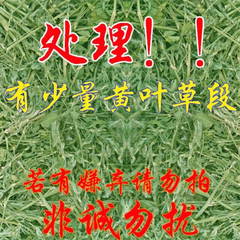 2018年烘干苜蓿紫花苜蓿龙猫牧兔粮饲料干1000克邮