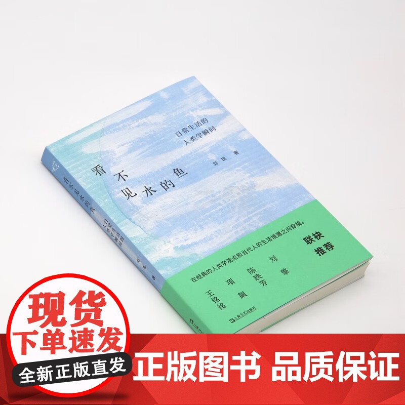 看不见水的鱼 日常生活的人类学瞬间 刘琪 著 社会科学高清大图