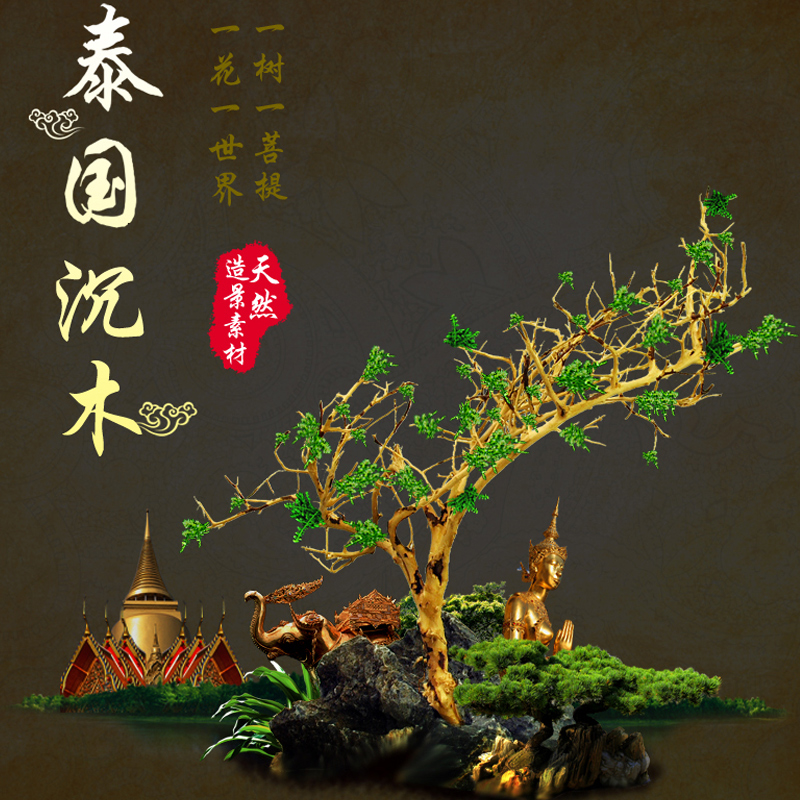 鱼缸造景沉木 泰国沉木流木水沉木 鱼缸水缸沉木小树形看图选购高清大图