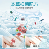 妇炎洁洗内裤专用液女士内衣洗衣液除菌消毒清洗液孕妇手洗抗菌皂 植物本草两瓶装