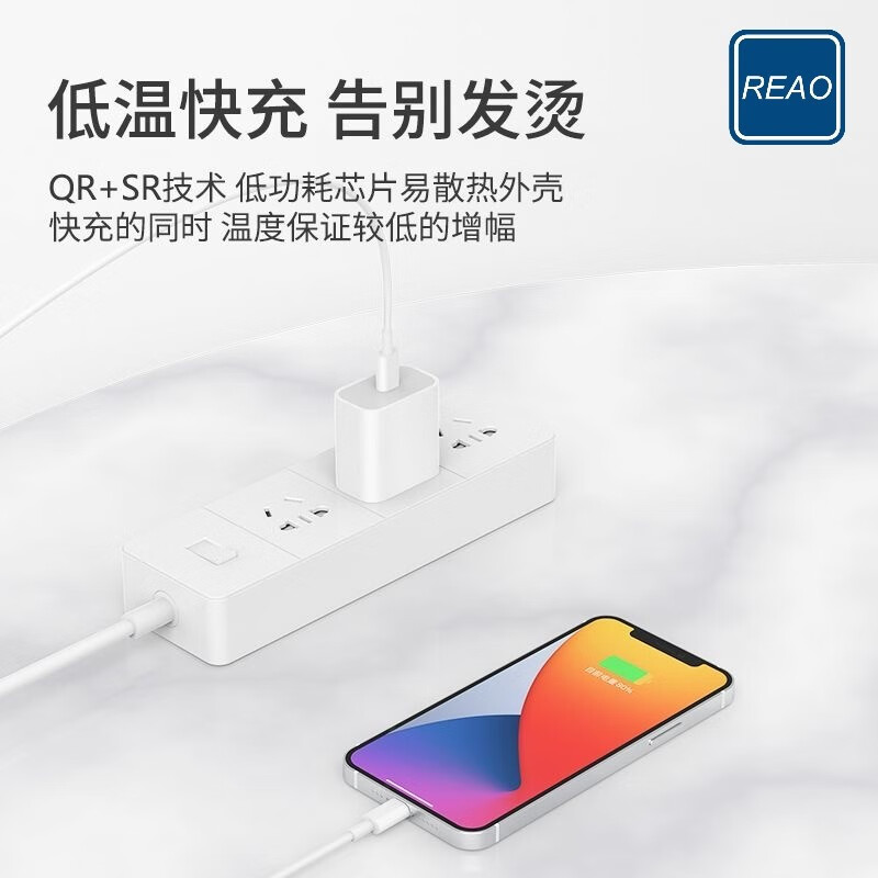REAO PD30W旅行快充充电器X21 白色高清大图