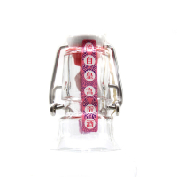 永丰牌北京二锅头酒 出口型小方瓶(红标) 清香型 42度500ml12瓶 整箱装白酒