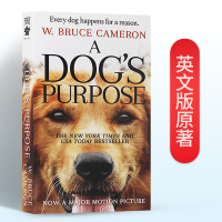 一条狗的使命 英文原版小说 A Dog’s Purpose 外国著名言情小说书籍 同名电影原著 讲述世间珍贵的爱与忠诚