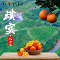 [五个农民]璞实绿色有机富硒赣南脐橙新鲜水果橙子5kg黄金果平均糖度17.5度 精品礼盒