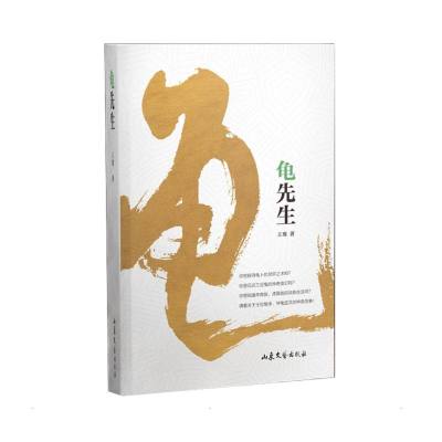 龟先生 王骞 著 文学 文轩网