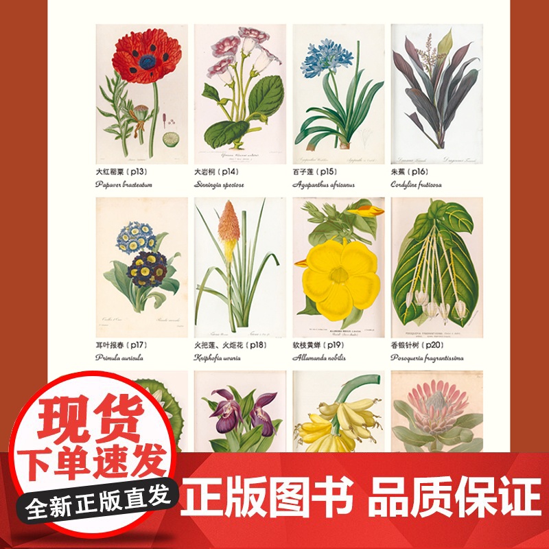 新书 绿手指园艺《邱园植物绘本Ⅱ》植物-图集高清大图