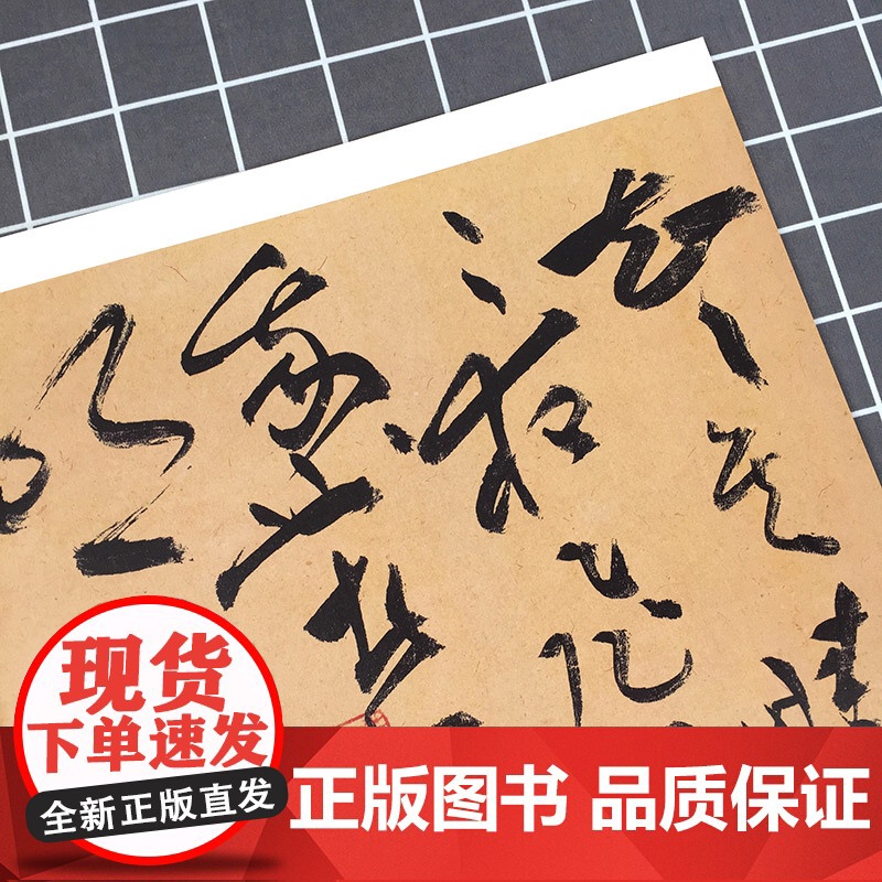 祝允明书前后赤壁赋 彩色放大本中国著名碑帖 孙宝文编 书法篆刻 书法碑帖 书法爱好者字帖 鉴赏收藏 上海辞书出版社高清大图