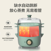 小熊 (Bear) 电蒸锅家用多功能可定时小型电蒸笼早餐机煮蛋器蒸菜积汁盘设计蒸汽锅多用途锅双层蒸笼DZG-D40E1