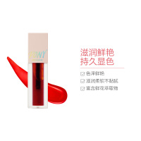 PONY SHINEEASYGLAM花语水润显色唇彩#01 热情似火4.3g 红色系