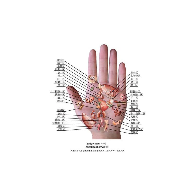 王晨霞掌纹图典 [正版]央视网王晨霞掌纹图典 王晨霞掌纹诊病治病手诊手疗图解精要实用图谱书籍 中医基础理论女性血压高健康高清大图