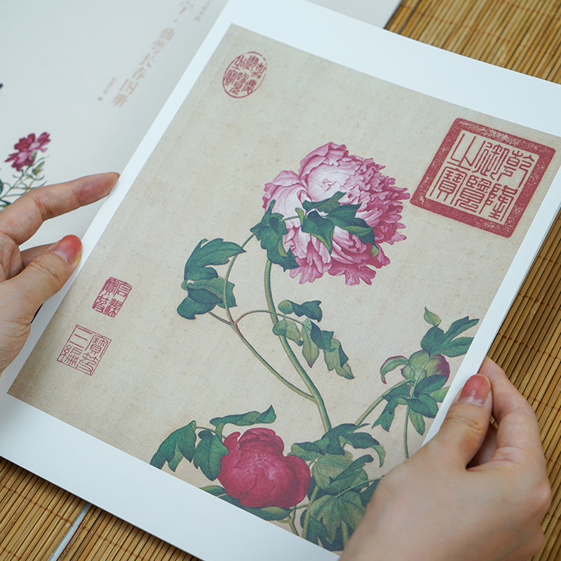 郎世宁仙萼长春图册 [正版]郎世宁仙萼长春图册 甄选16帧近代绘画大师经典花鸟画作品集 单片装帧高清还原可临摹鉴赏可装饰高清大图