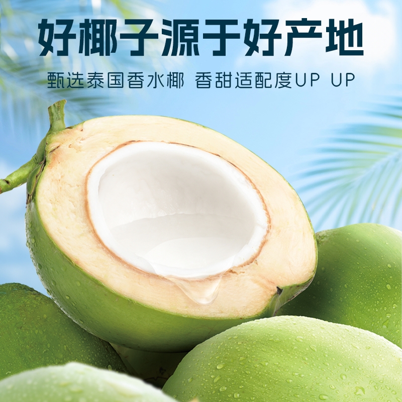 崟露 100%NFC椰子水400mL*15瓶高清大图