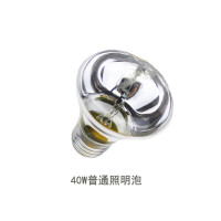 浴霸中间照明灯泡40W浴霸照明灯泡LED3W5W7W9W防水防爆浴霸小灯泡 E27R63节能 40W黄光 2个