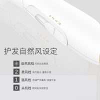雷瓦(RIWA)电吹风RC-7111家用迷你可折叠冷热风恒温3档风速随意调控随意造型1200w大功率