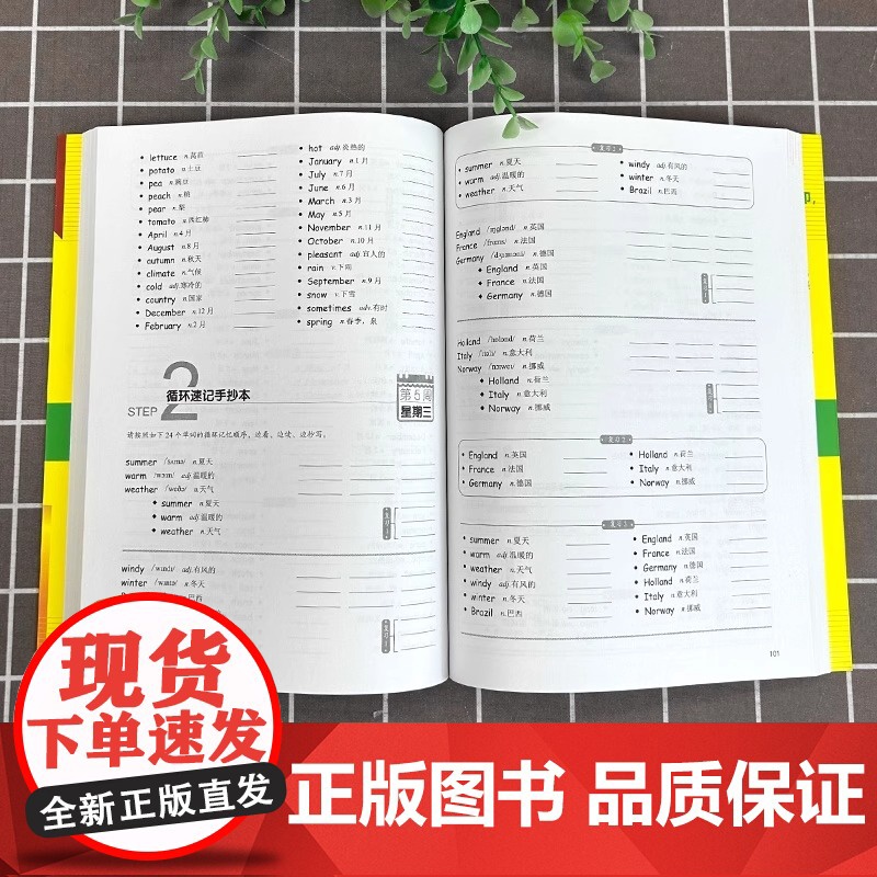 正版 新概念英语单词循环速记手抄本 词汇详解版1 搭配新概念英语1英语初阶第一册教材 英语综合教程 英语零基础入学习参考高清大图