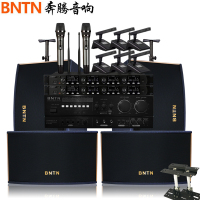 奔腾(BNTN)专业会议KTV音响全套家庭影院卡拉OK手拉手会议话筒8150配BTKT13音箱6个无线鹅颈话筒+2个手持