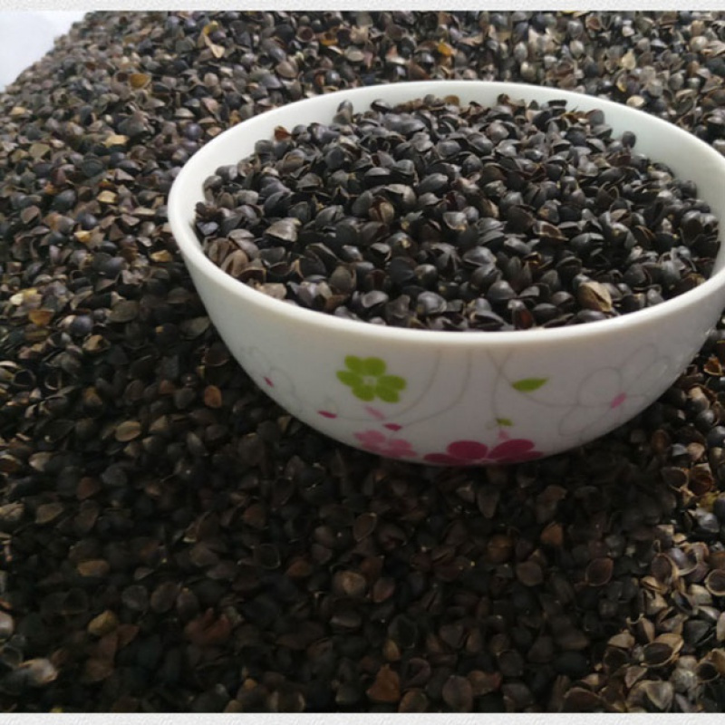 荞麦皮枕头荞麦壳枕芯填充物散装荞麦壳枕头芯填充物婴儿枕头荞麦