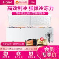 海尔(Haier)BC/BD-1028T 1028升 商用大冰柜 卧式大冷冻柜 单温冷藏冷冻转换冰柜 商场超市大冷柜