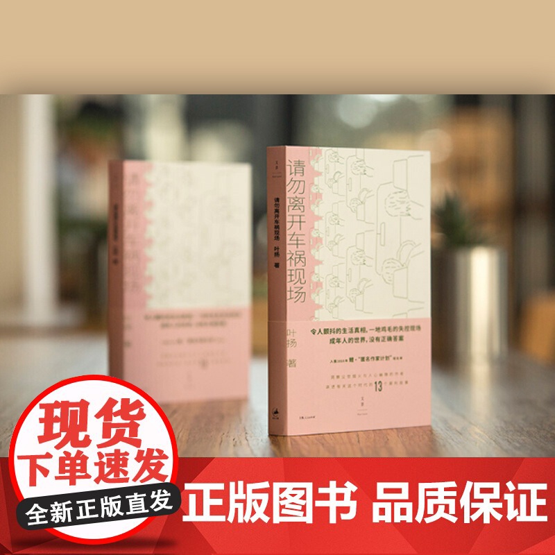 请勿离开车祸现场 叶扬 另著/胖子 短篇小说 中国当代小说 小说集 生活真相 真实案例 成年人的世界 上海人民出版社高清大图