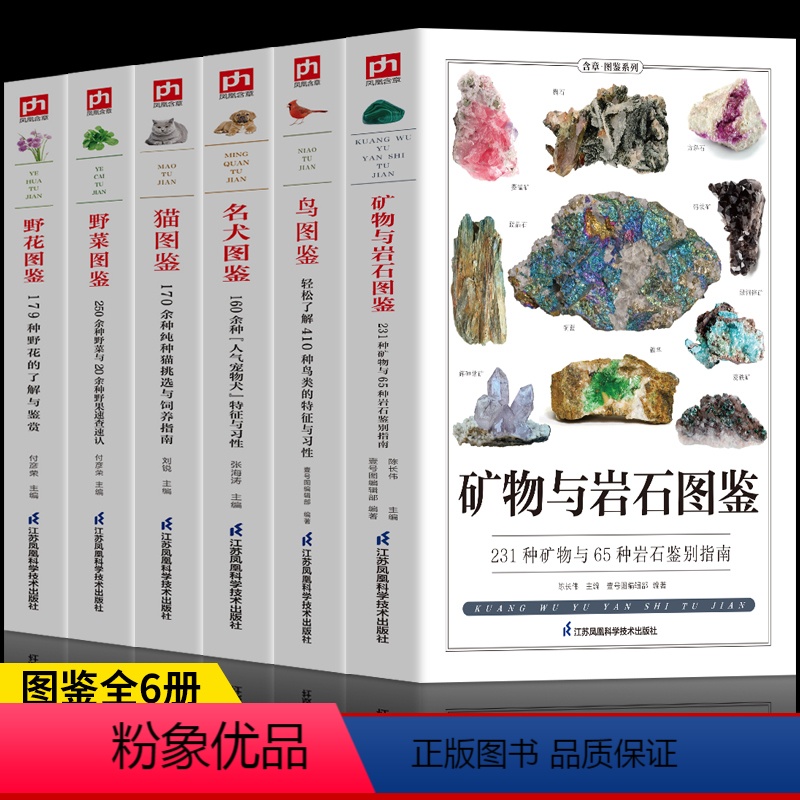 【正版】6册 矿物与岩石图鉴 鸟图鉴 名犬图鉴 猫图鉴 野菜图解 野花图鉴 收藏爱好者鉴别指南 鸟类行为矿石图鉴 野外