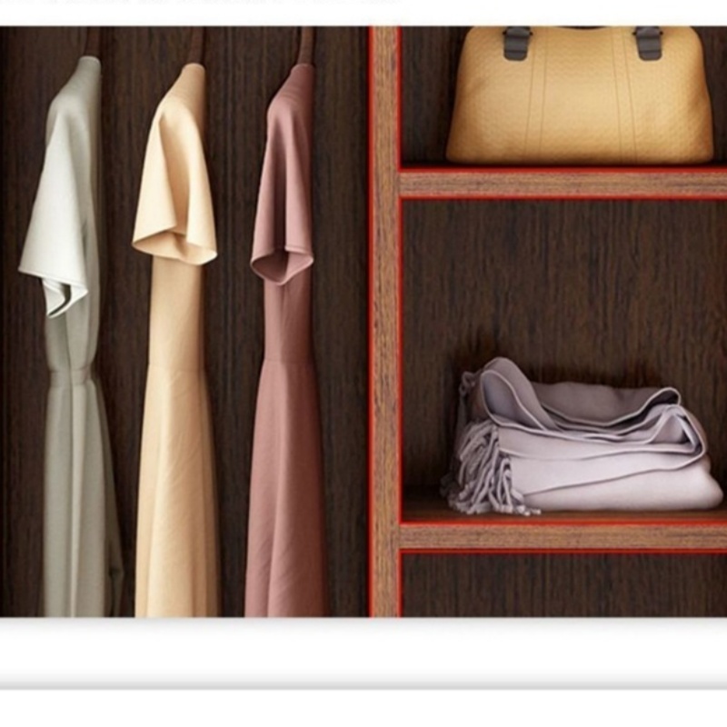 演发 衣柜两门 台高清大图