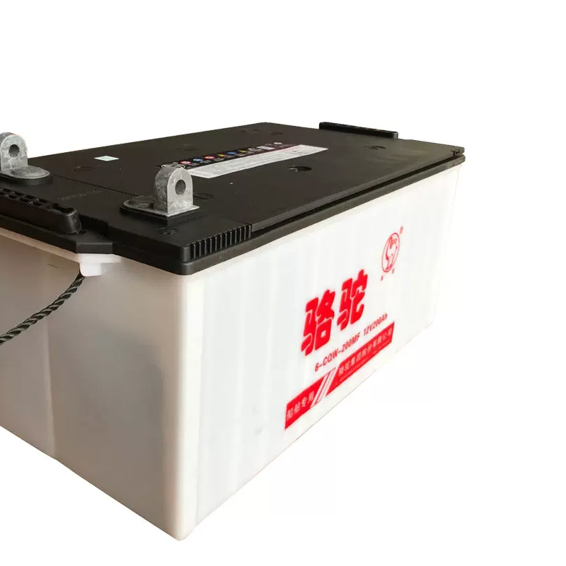 骆驼6-cQw-200AH蓄电池