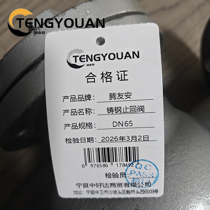 腾友安铸钢止回阀DN65/个高清大图