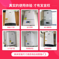 威特尼（Vaitny） 40KW大功率壁挂炉 WW系列 采暖炉热水器两用（天然气） 别墅型大供应面积300-350㎡