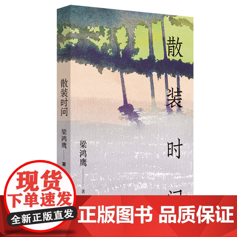 散装时间 梁鸿鹰 正版 中国版《九故事》 北方小城的《米格尔街》 十月文艺图书高清大图