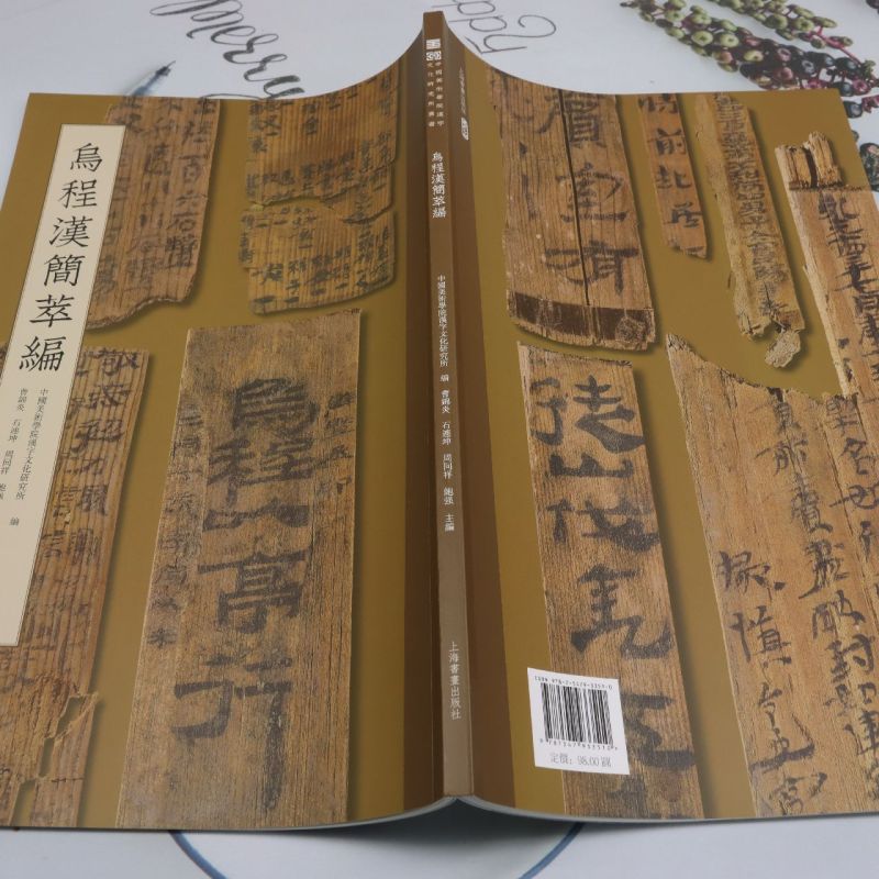 乌程汉简萃编 [正版]乌程汉简萃编高清大图