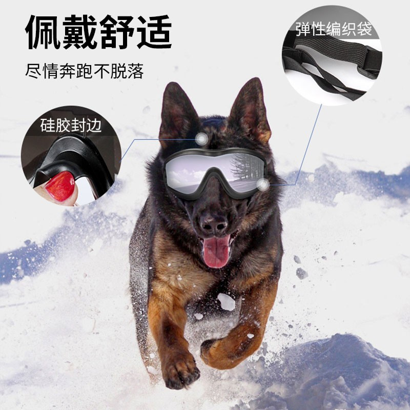 狗狗眼镜宠物专用墨镜护目镜柯基边牧金毛防风太阳镜泰迪犬游泳镜