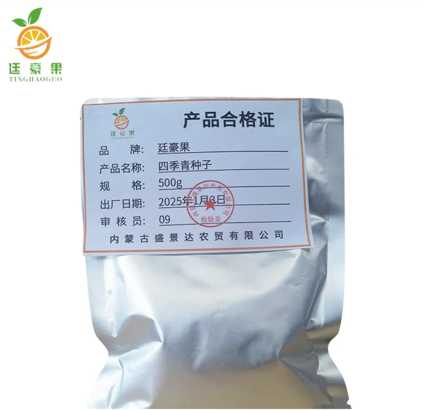 廷豪果 四季青种子 四季青草籽 进口草坪种子 500g/袋高清大图