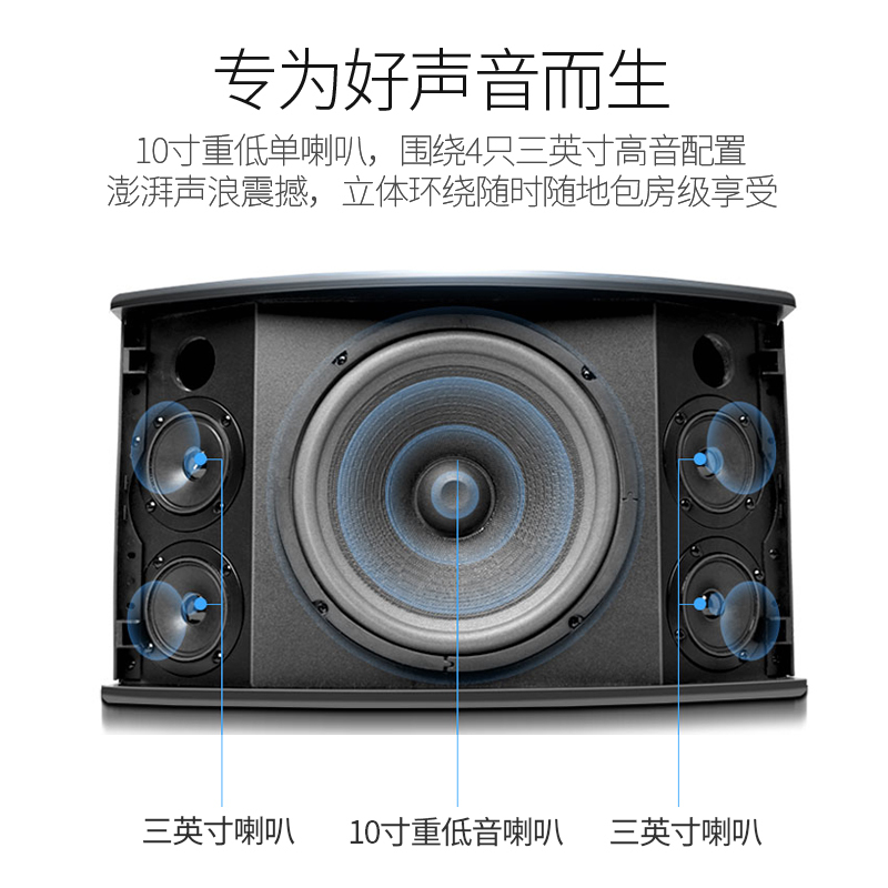 山水SP-10会议专用音箱