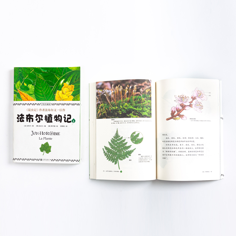 醉染图书法布尔植物记 手绘珍藏版(2册)9787559634412高清大图