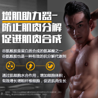康比特谷氨酰胺肽300g 蛋白粉健身增健肌粉西柚味