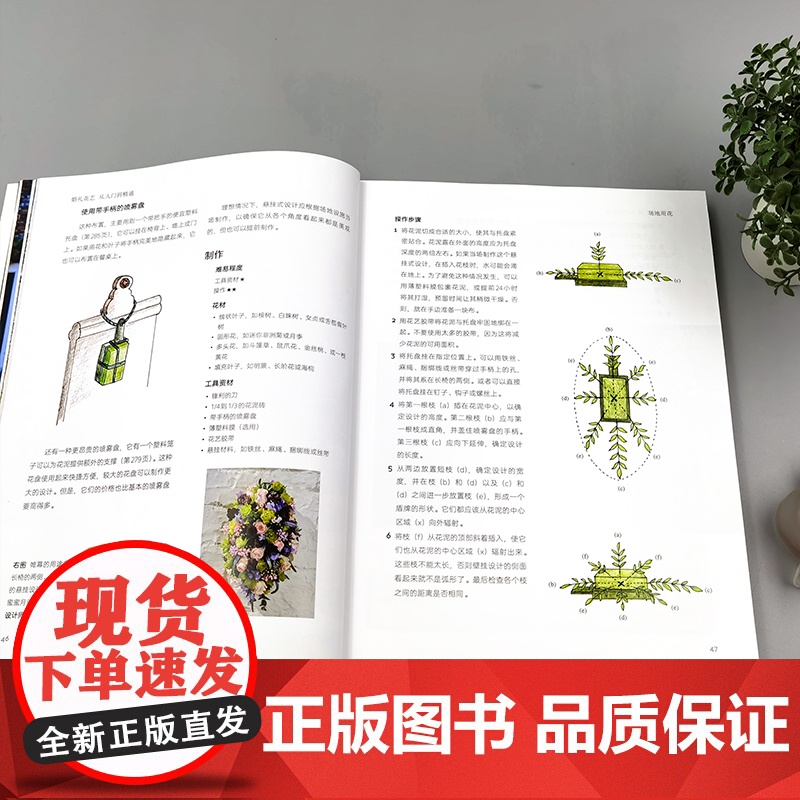 婚礼花艺 从入门到精通 花艺大师经典教程 花艺大师经典教程 朱迪丝·布莱克洛克 一本从零基础到专业花艺师的进阶教程 农业高清大图