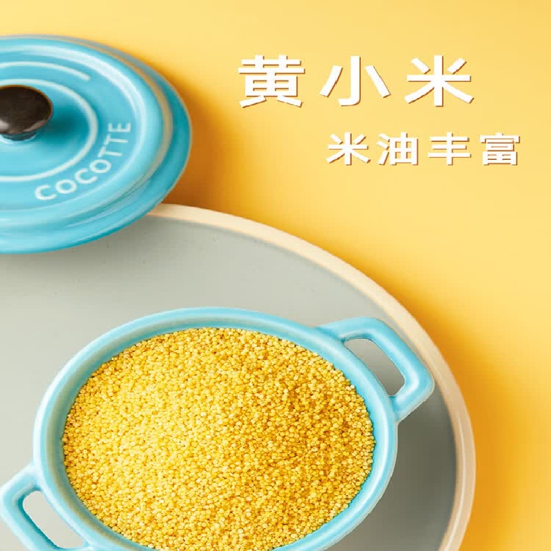 十月稻田(SHIYUEDAOTIAN) 磨米世家黄小米1kg 颗颗精选 色泽金黄 颗粒饱满 易煮易熟 软糯绵稠高清大图