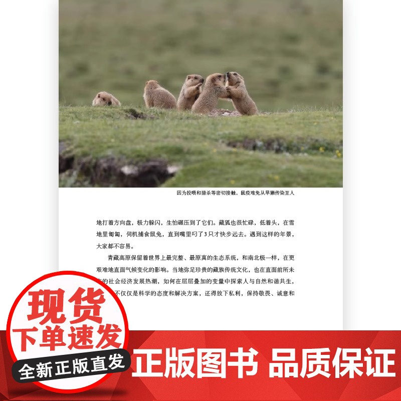 [央视网X后浪]荒野的回声 100多种野生动物大熊猫抹香鲸野生动物 生态保护自然科学游记大众科普摄影画册书籍高清大图